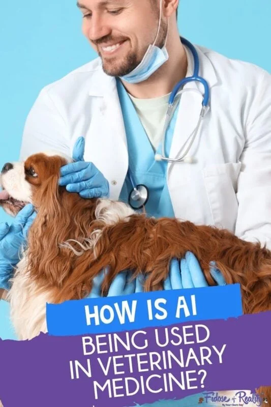 Veterinarian using AI to examine a spaniel