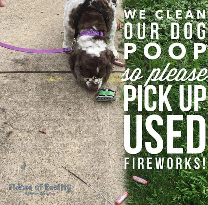 dog fireworks