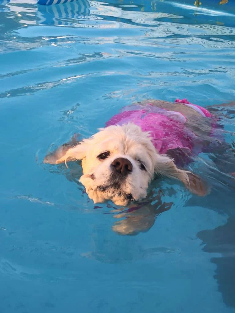Coco swimming