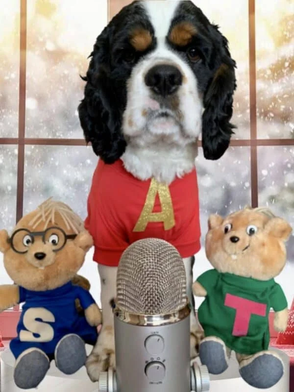 Alvin puppy