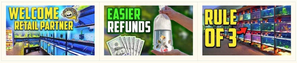 Free business educational videos for fish store managers