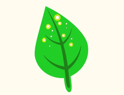 Understanding Potassium Needs in Your Planted Aquarium