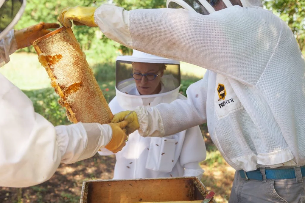 Harvesting capped honey