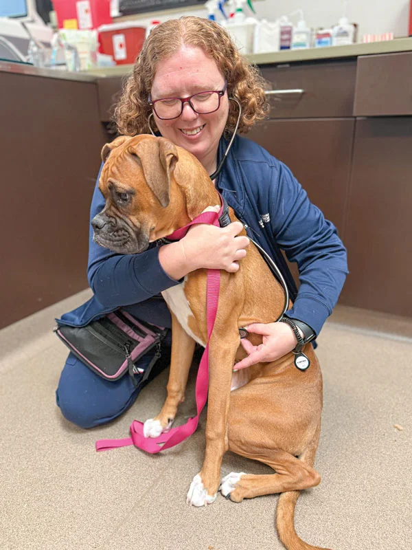 Understanding Chronic Gastrointestinal Issues in Dogs: Diagnosis and Treatment Insights