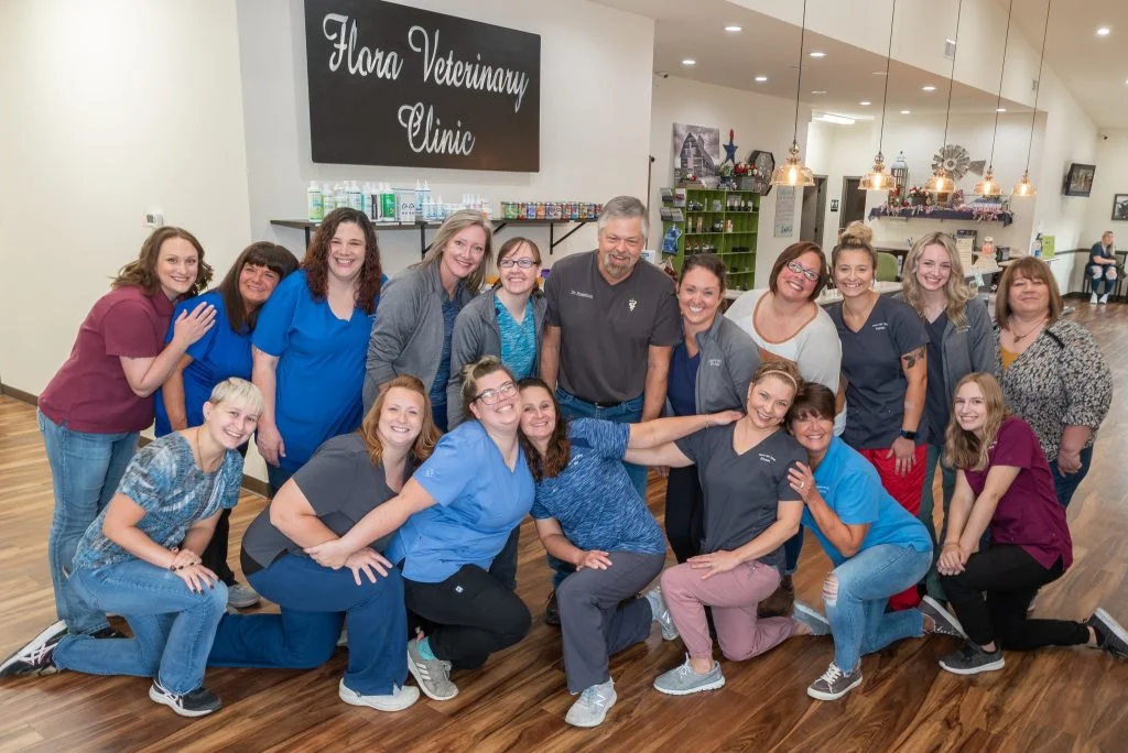How CE helps form vet tech professional identities