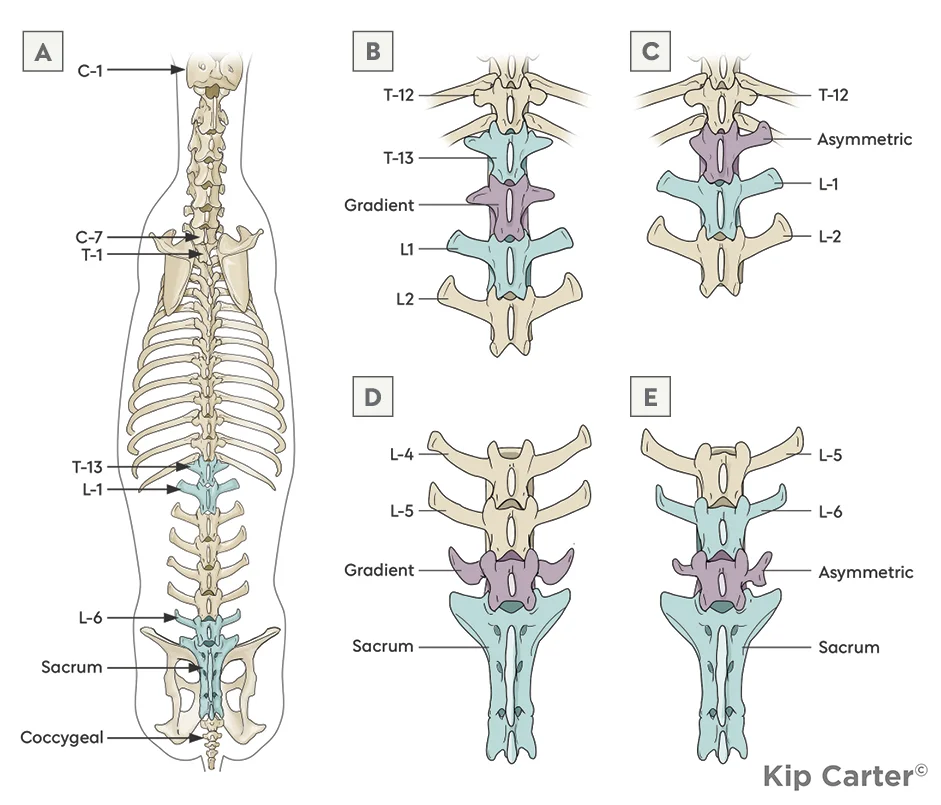 Clinical Approach to Goats With Neurologic Signs