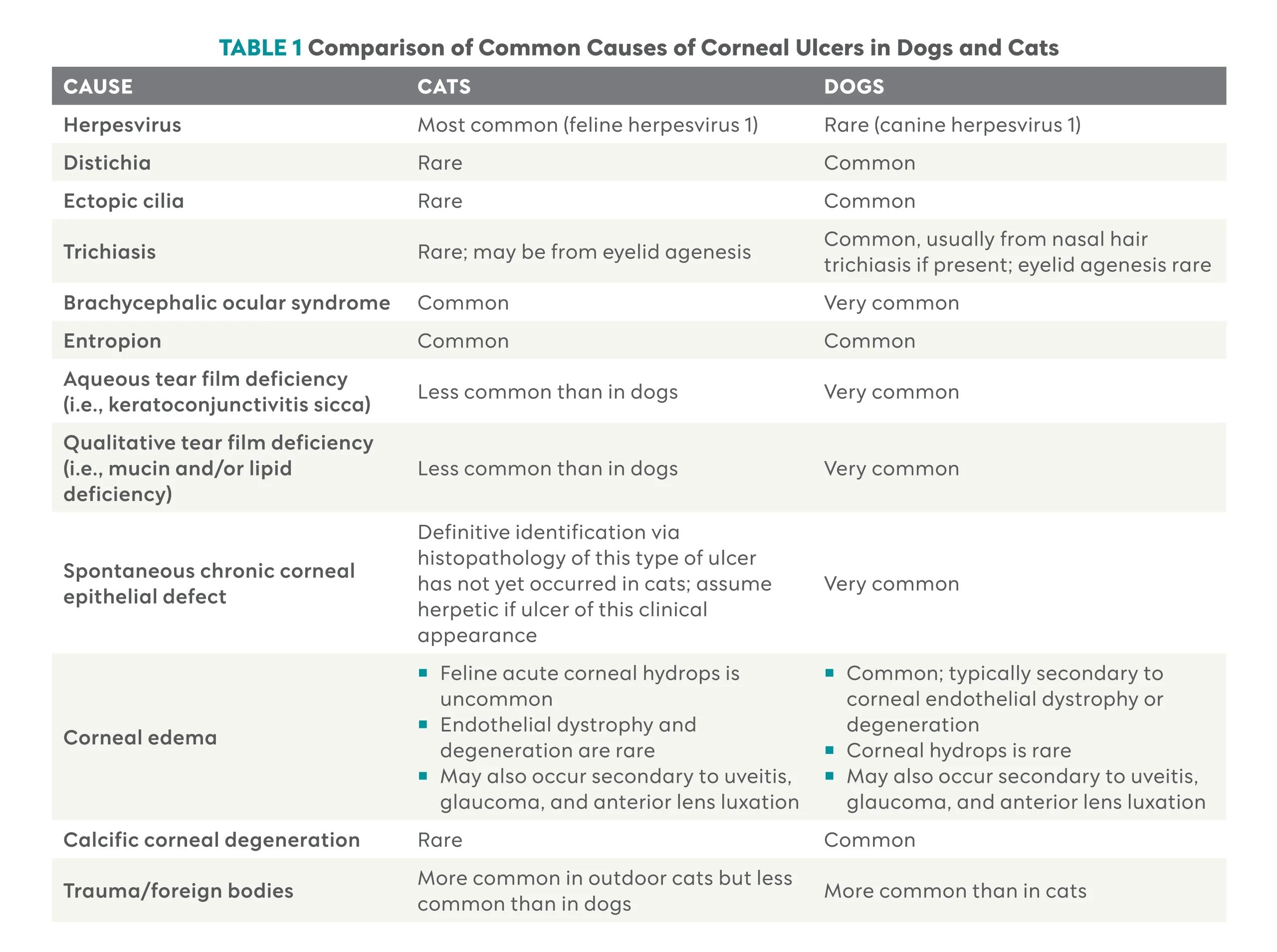 Key Insights into Diagnosing and Managing Feline Corneal Ulcers