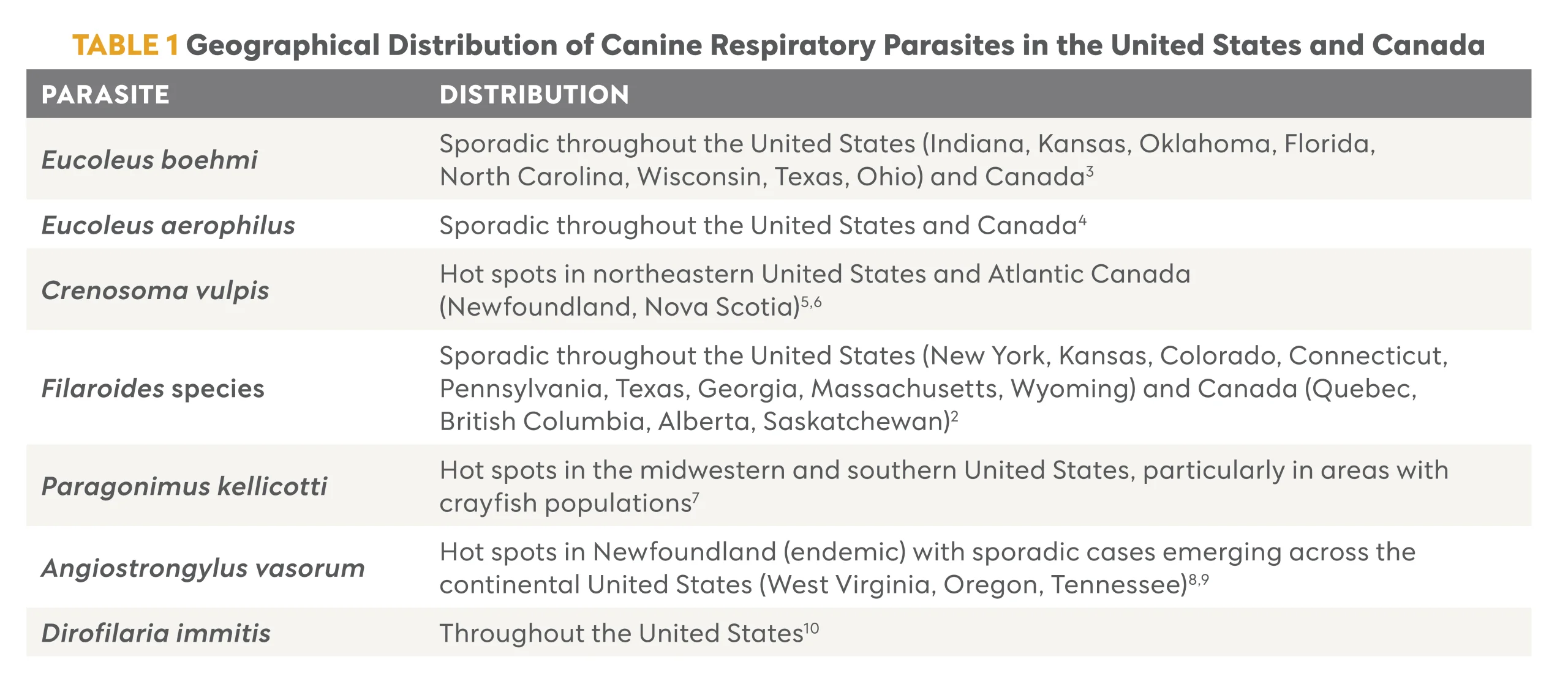 The Importance of Accurate Diagnosis in Canine Respiratory Infections