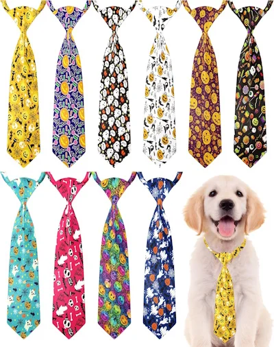 Stylish Halloween Accessories That Dogs Can Wear Comfortably