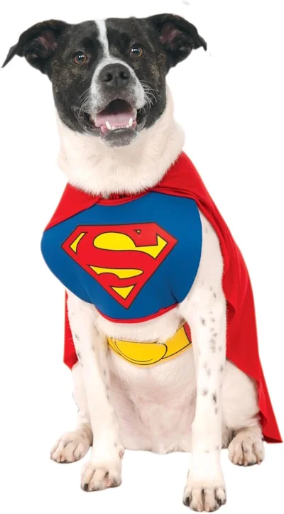 Superman dog halloween costume