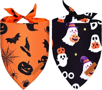 Halloween scarves accessories