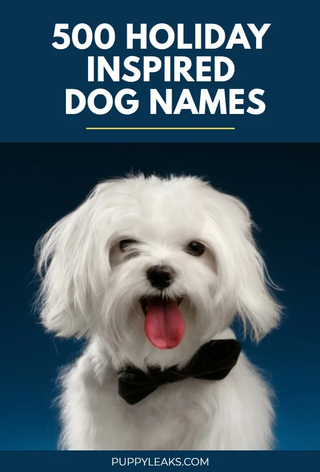 Unique Holiday Dog Names to Celebrate the Season with Your Pup