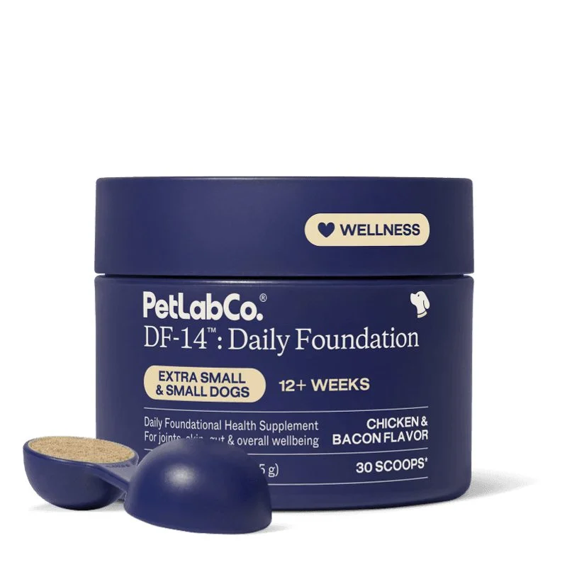 Choosing the Right Probiotic Powder for Your Dog’s Health: A Comprehensive Guide