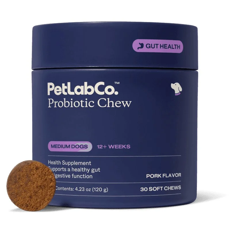 Choosing the Best Probiotic Chews for Your Dog: A Comprehensive Guide