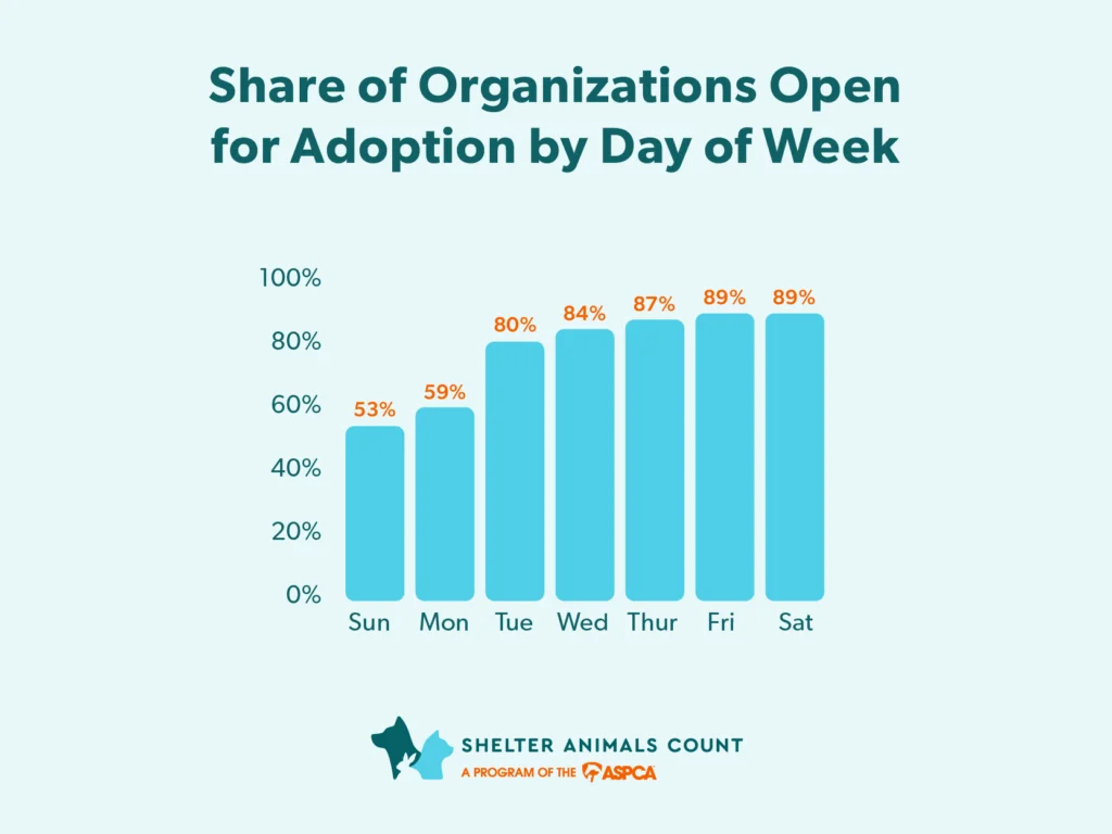 Enhancing Adoption Rates Through Strategic Policy Adjustments