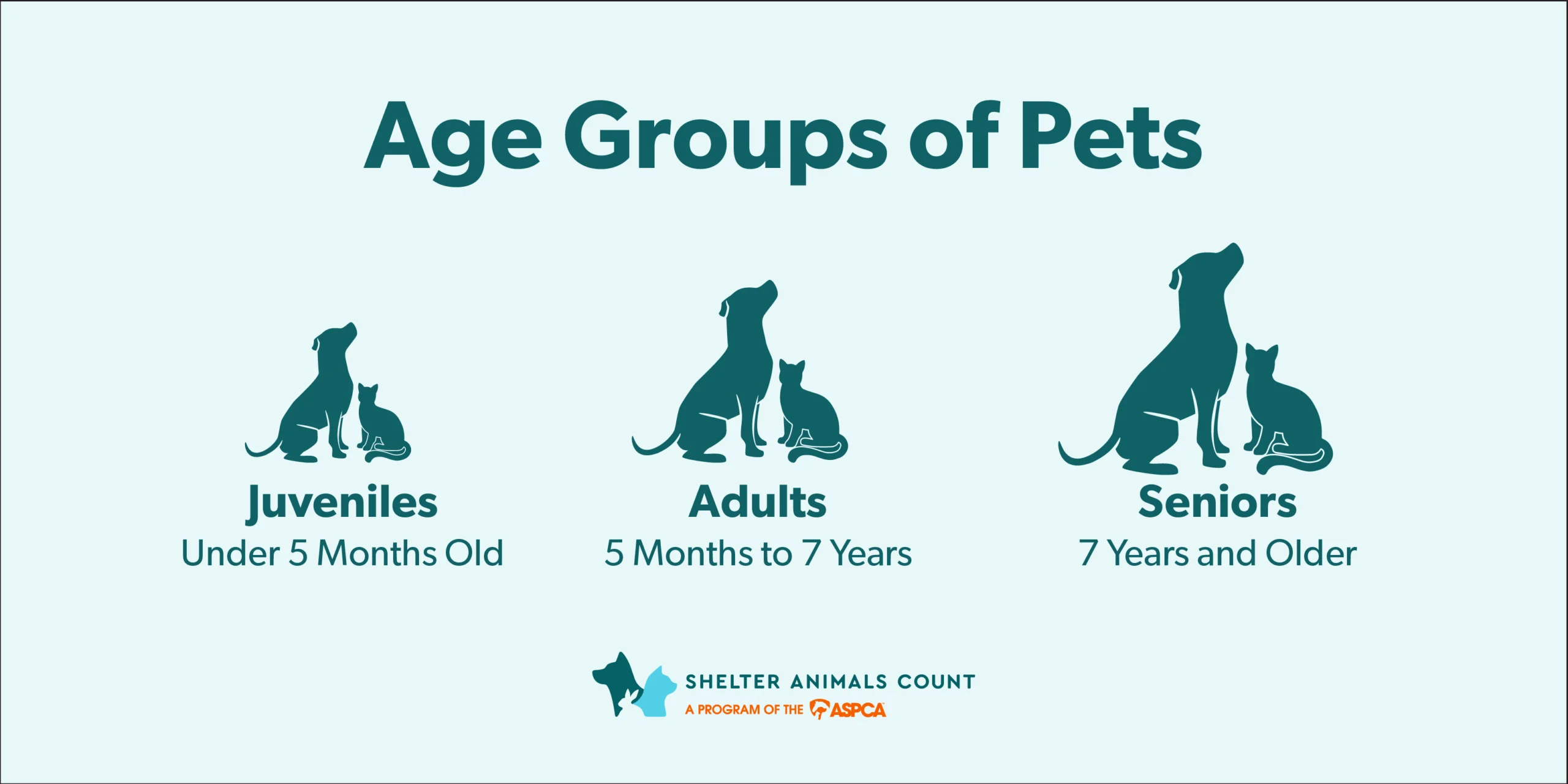 Analyzing Age Trends in Lost Pet Reunification Rates