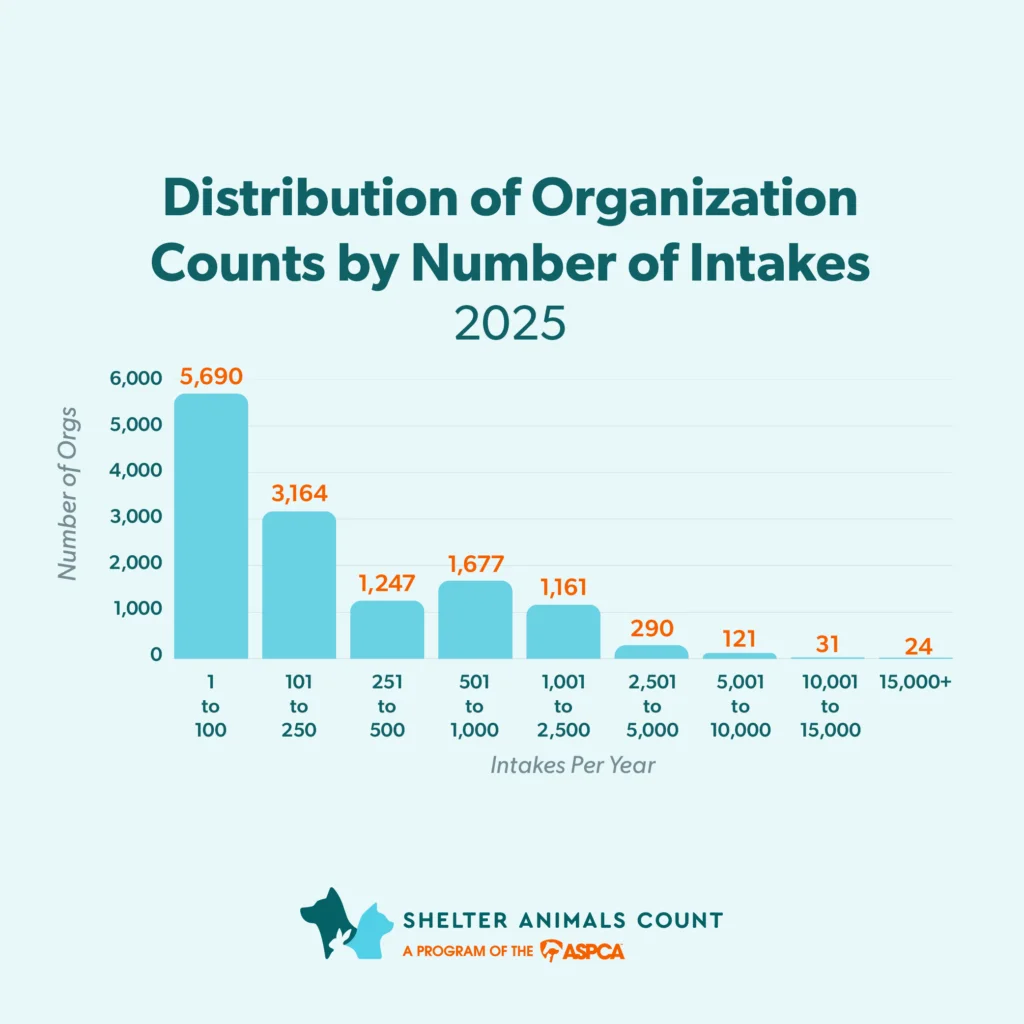Understanding the Role of Organization Size in U.S. Animal Adoption Dynamics