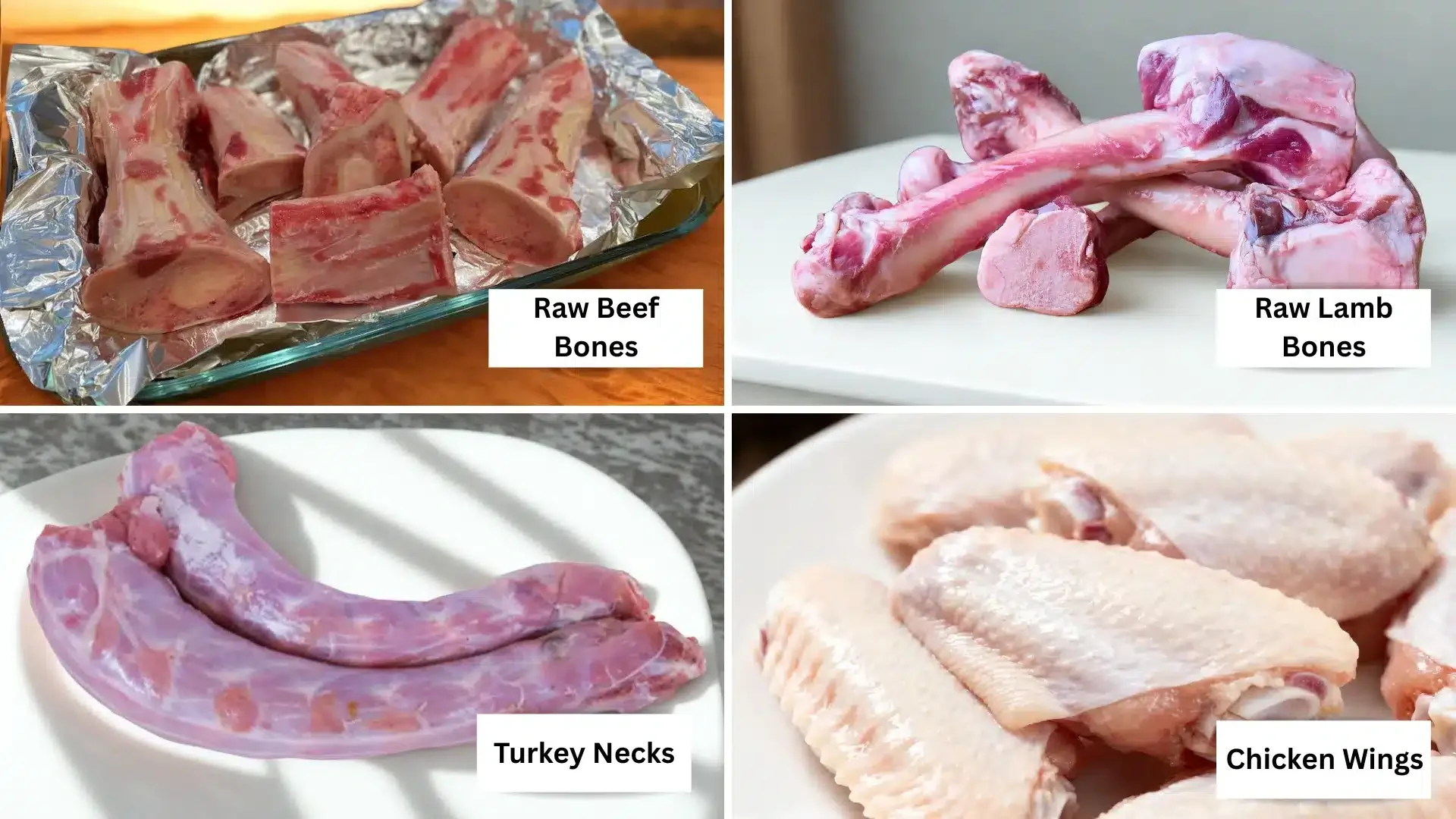 Display of various raw bones suitable for dogs, including beef, lamb, turkey necks, and chicken wings.