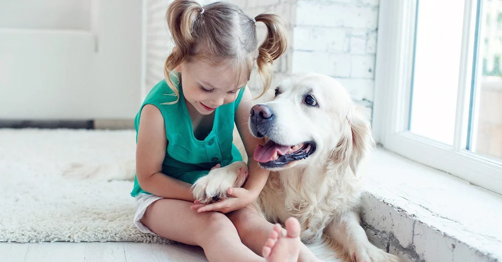 Top 15 Dog Breeds Perfect for Families with Children